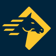 Paladin Security company logo