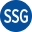 Southwest Solutions Group company logo