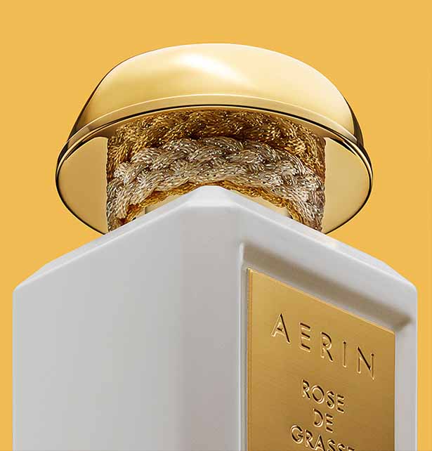 The Estée Lauder Companies company logo