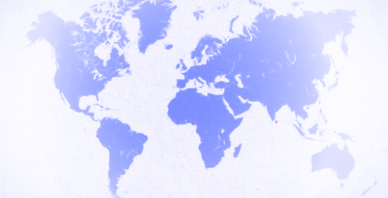 Werfen company logo